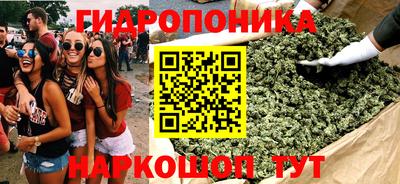 ECSTASY Гусь-Хрустальный