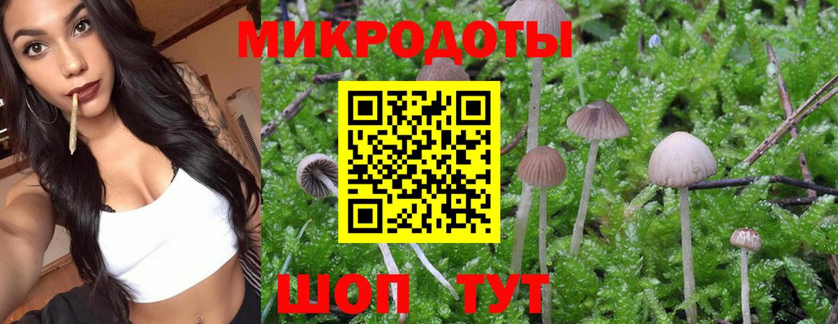 Нефтекамск  Галлюциногенные грибы Psilocybe  Псилоцибиновые грибы GOLDEN TEACHER  Вход с VPN 