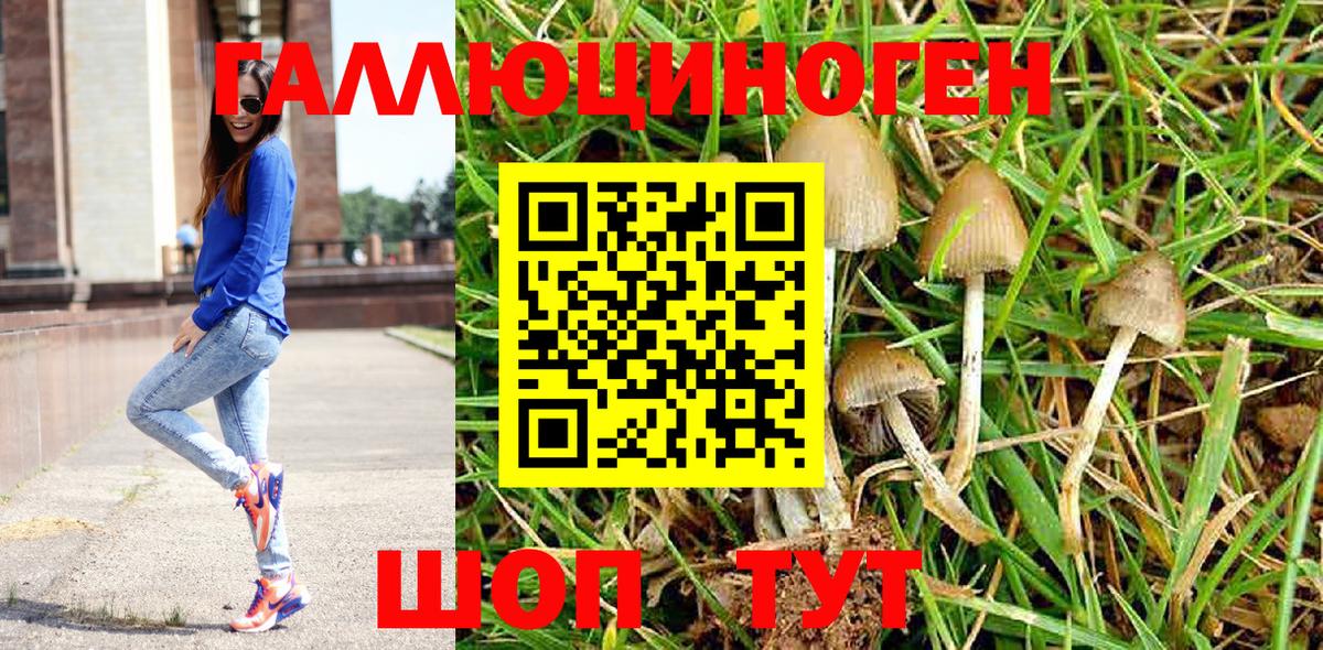 Галлюциногенные грибы GOLDEN TEACHER Нефтекамск